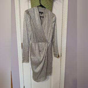 Nicole Miller Shimmering Silver Dress